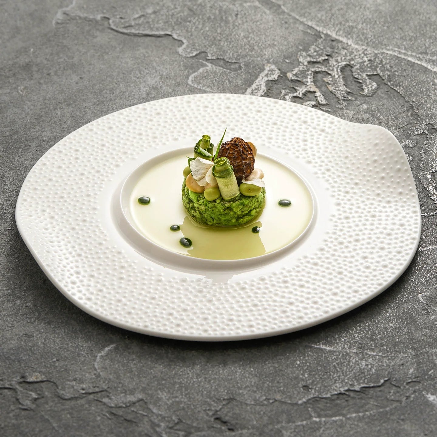 Matte Sesame Texture Porcelain Asymmetric Rim Plate ÃÂÃÂ¢ÃÂÃÂÃÂÃÂ Wabi-Sabi Designer Series-0